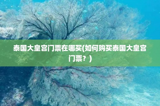 泰国大皇宫门票在哪买(如何购买泰国大皇宫门票？)