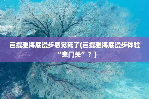 芭提雅海底漫步感觉死了(芭提雅海底漫步体验“鬼门关”？)