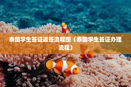 泰国学生签证返签流程图（泰国学生签证办理流程）