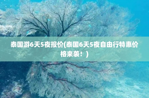 泰国游6天5夜报价(泰国6天5夜自由行特惠价格来袭！)