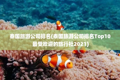 泰国旅游公司排名(泰国旅游公司排名Top10 最受欢迎的旅行社2021)