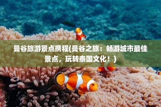 曼谷旅游景点携程(曼谷之旅：畅游城市最佳景点，玩转泰国文化！)