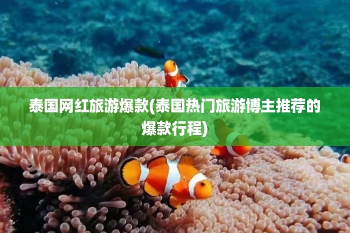 泰国网红旅游爆款(泰国热门旅游博主推荐的爆款行程)