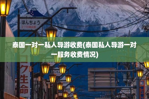 泰国一对一私人导游收费(泰国私人导游一对一服务收费情况)