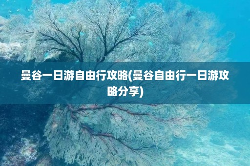 曼谷一日游自由行攻略(曼谷自由行一日游攻略分享)