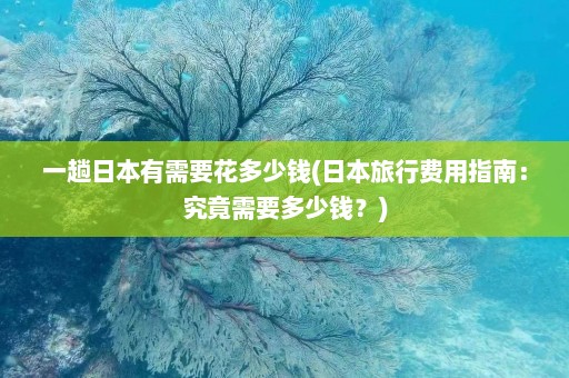 一趟日本有需要花多少钱(日本旅行费用指南：究竟需要多少钱？)