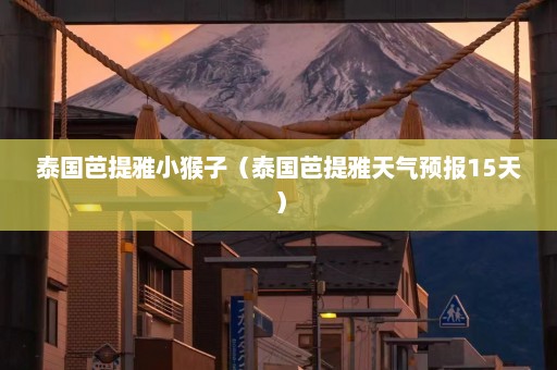 泰国芭提雅小猴子（泰国芭提雅天气预报15天）