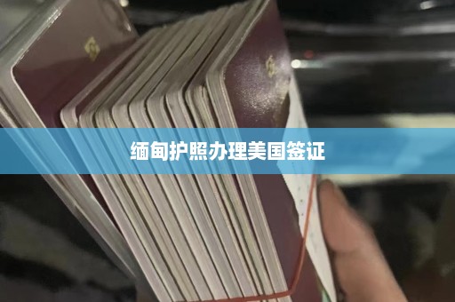 缅甸护照办理美国签证  第1张