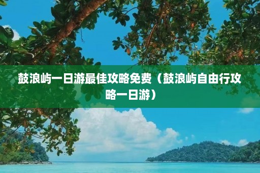 鼓浪屿一日游最佳攻略免费（鼓浪屿自由行攻略一日游）