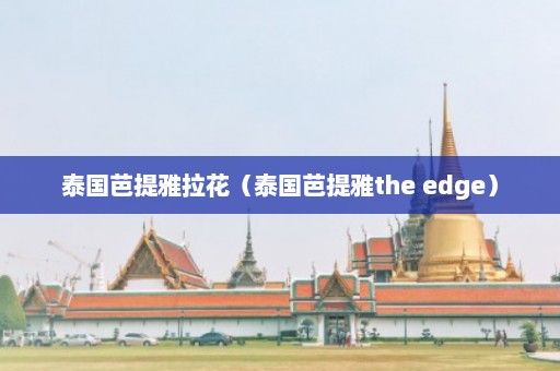 泰国芭提雅拉花（泰国芭提雅the edge）  第1张