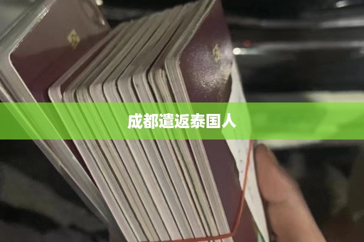 成都遣返泰国人  第1张