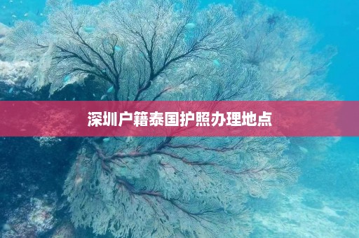 深圳户籍泰国护照办理地点