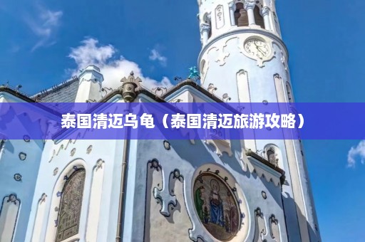 泰国清迈乌龟（泰国清迈旅游攻略）