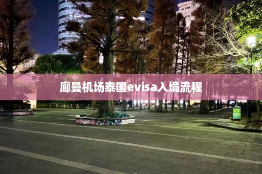 廊曼机场泰国evisa入境流程  第1张