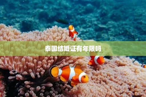 泰国结婚证有年限吗