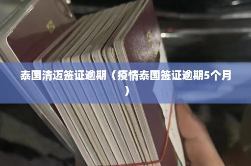 泰国清迈签证逾期（疫情泰国签证逾期5个月）  第1张