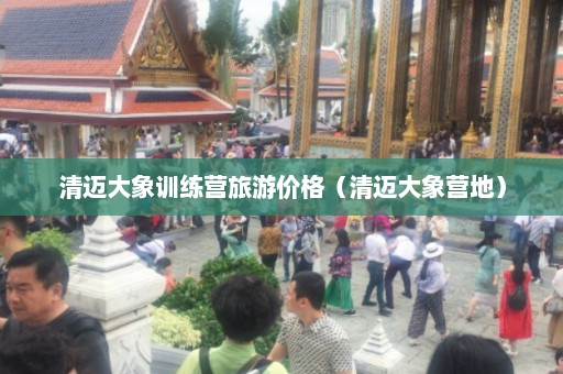 清迈大象训练营旅游价格（清迈大象营地）