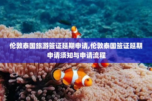 伦敦泰国旅游签证延期申请,伦敦泰国签证延期申请须知与申请流程