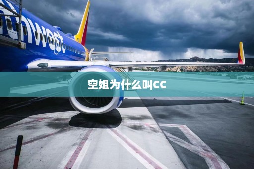 空姐为什么叫CC