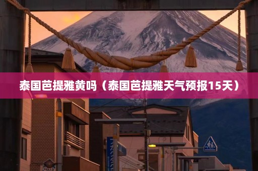 泰国芭提雅黄吗（泰国芭提雅天气预报15天）