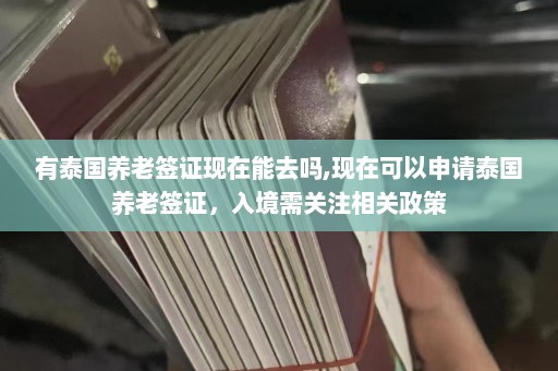 有泰国养老签证现在能去吗,现在可以申请泰国养老签证，入境需关注相关政策  第1张