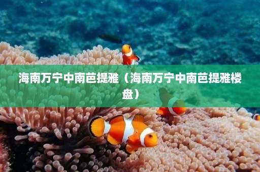 海南万宁中南芭提雅（海南万宁中南芭提雅楼盘）