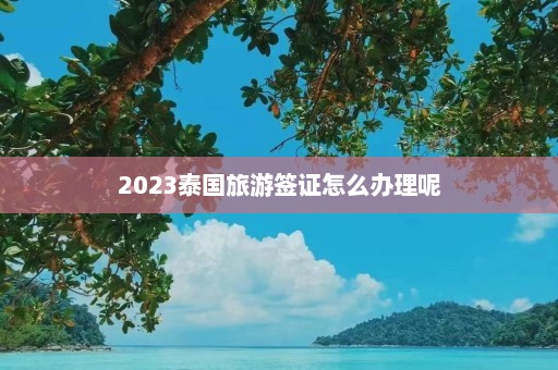 2023泰国旅游签证怎么办理呢