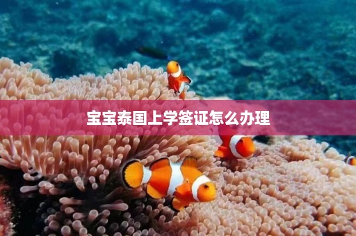 宝宝泰国上学签证怎么办理