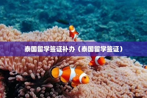 泰国留学签证补办（泰国留学签证）