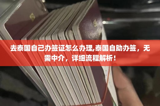 去泰国自己办签证怎么办理,泰国自助办签，无需中介，详细流程解析！  第1张