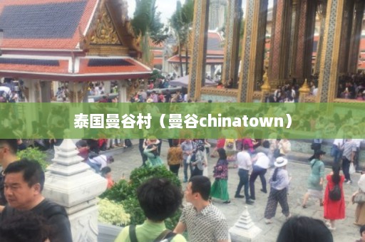 泰国曼谷村（曼谷chinatown）  第1张