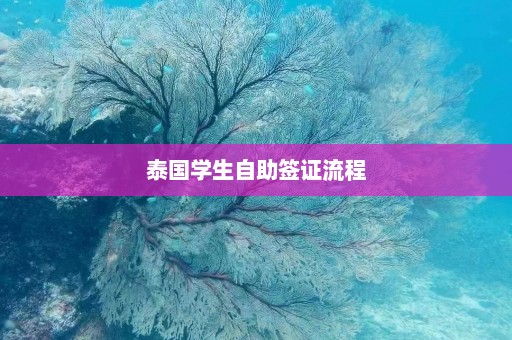 泰国学生自助签证流程