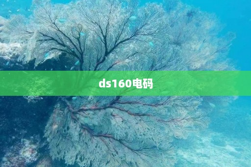 ds160电码