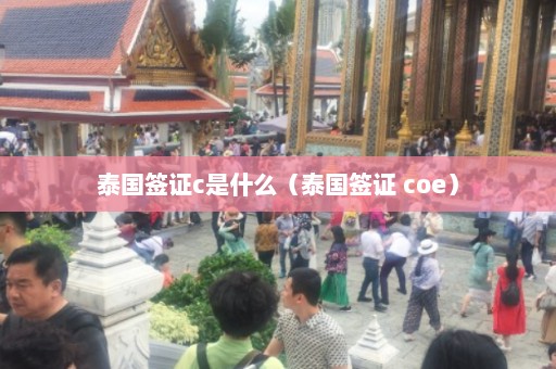 泰国签证c是什么（泰国签证 coe）  第1张