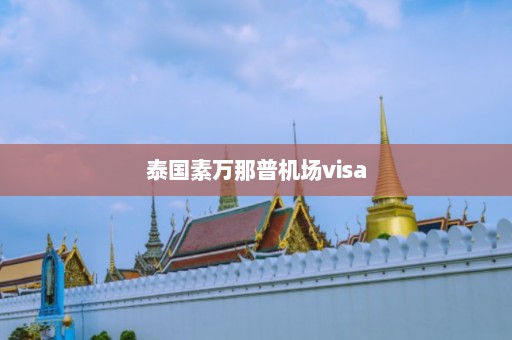 泰国素万那普机场visa  第1张