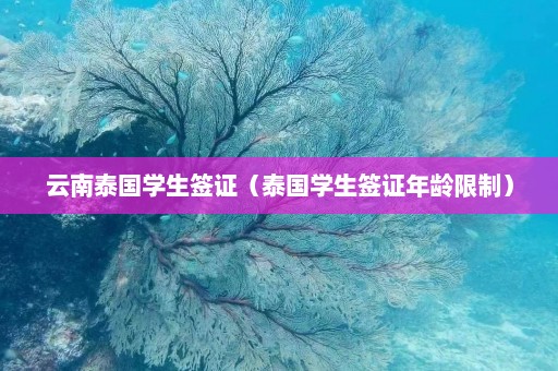 云南泰国学生签证（泰国学生签证年龄限制）