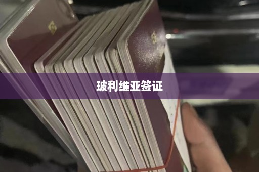 玻利维亚签证  第1张