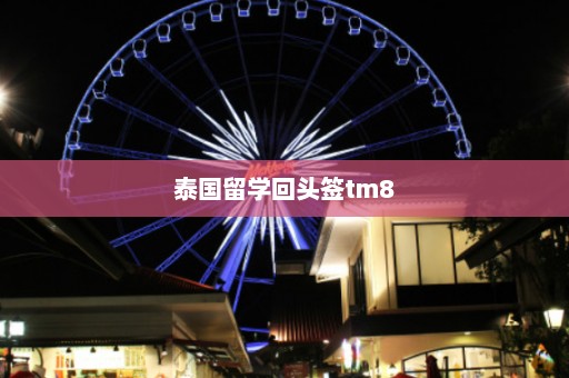 泰国留学回头签tm8  第1张