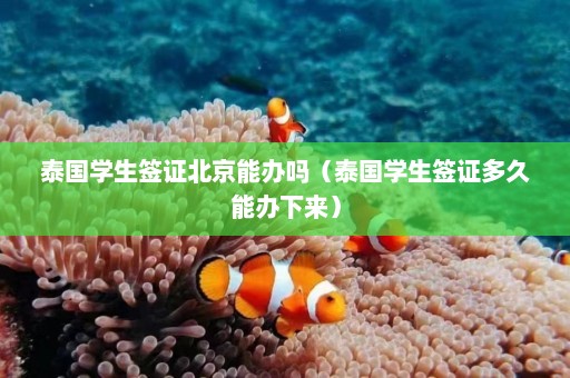 泰国学生签证北京能办吗（泰国学生签证多久能办下来）