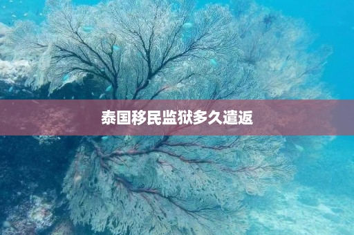 泰国移民监狱多久遣返