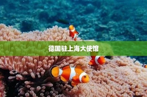 德国驻上海大使馆