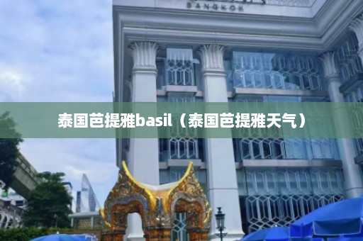 泰国芭提雅basil（泰国芭提雅天气）