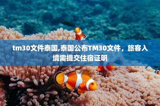 tm30文件泰国,泰国公布TM30文件，旅客入境需提交住宿证明