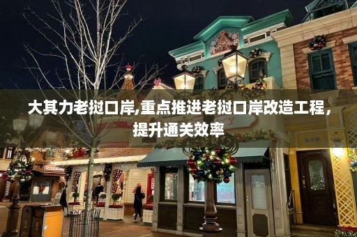 大其力老挝口岸,重点推进老挝口岸改造工程，提升通关效率