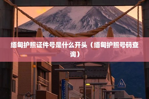 缅甸护照证件号是什么开头（缅甸护照号码查询）