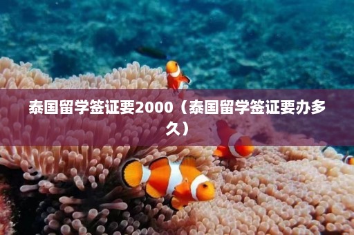 泰国留学签证要2000（泰国留学签证要办多久）