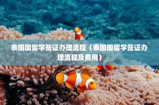 泰国国留学签证办理流程（泰国国留学签证办理流程及费用）  第1张