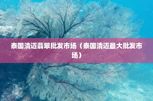 泰国清迈翡翠批发市场（泰国清迈最大批发市场）