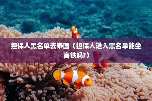 担保人黑名单去泰国（担保人进入黑名单能坐高铁吗?）