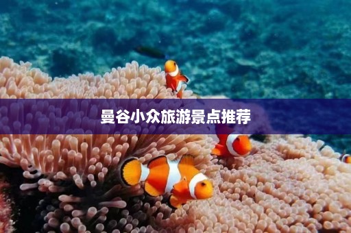 曼谷小众旅游景点推荐